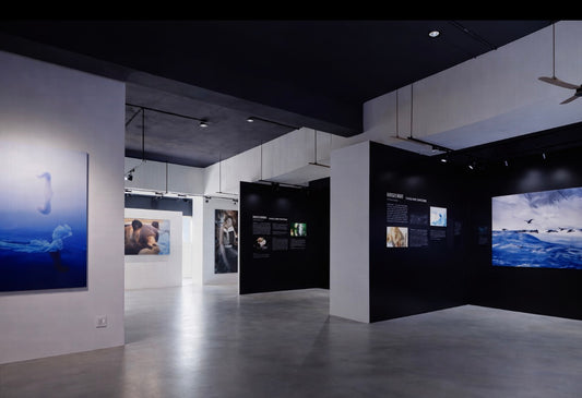 阿寒アートギャラリー&アートギフトショップ