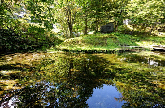栗林加寿子の歌碑